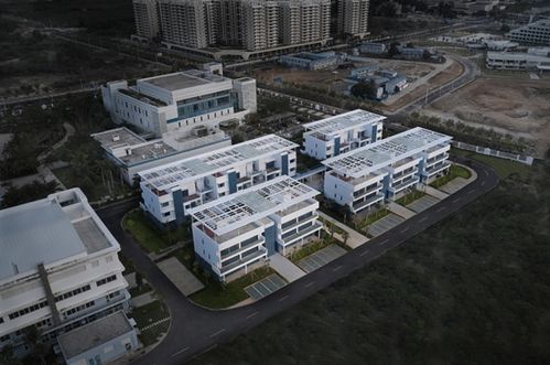 椰影婆娑,海风拂面 中国电科海洋信息技术研究院三亚研发中心