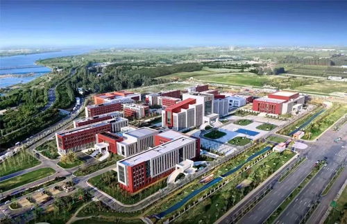 回眸奋进路 启航新征程 大卫国际2021 十件大事 发布