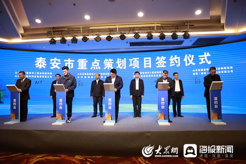 泰安市重点策划项目推介会议召开