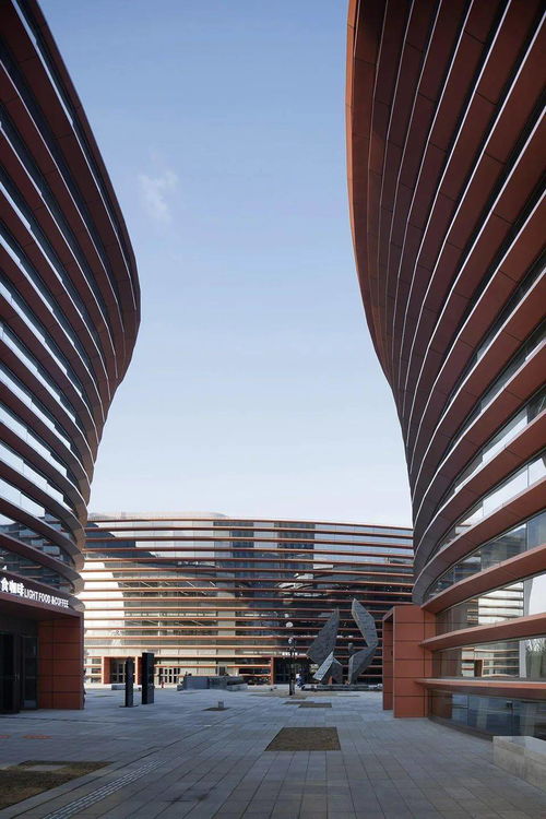 内藏珍奇 嘉善图书馆 博物馆 浙江大学建筑设计研究院